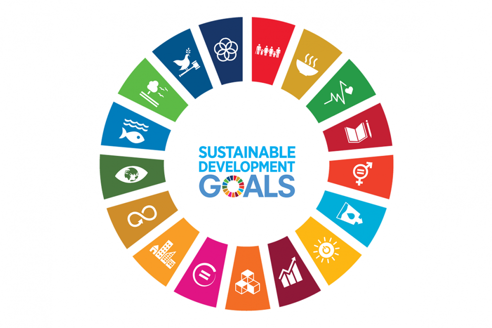 What is SDGS